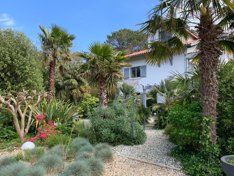 Maison Arbolateia Avec Piscine Et Spa Bidart Exterior photo